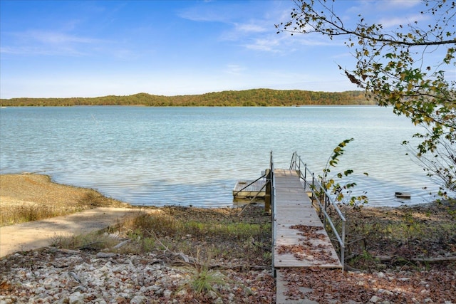 dock area with a water view