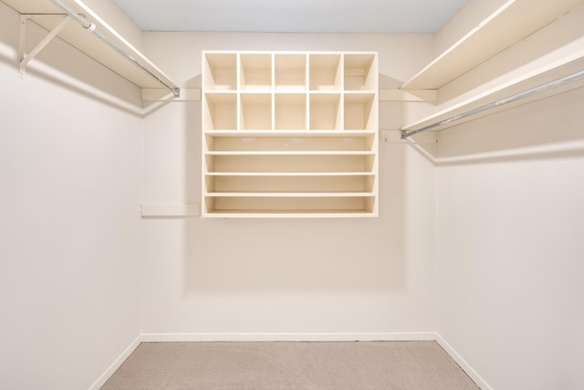 spacious closet featuring carpet