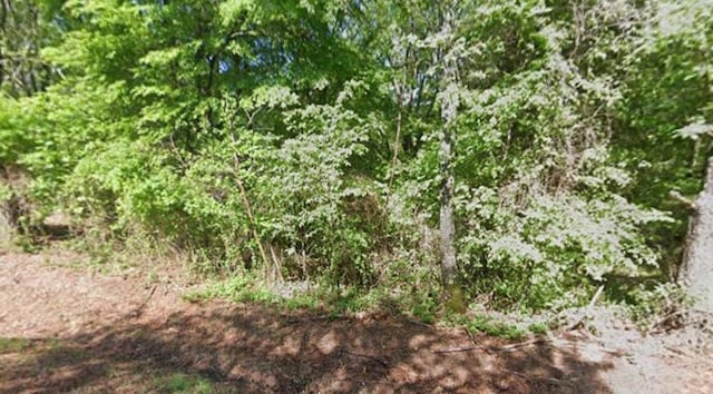 0 Ecology Loop, TN, 38028 land for sale