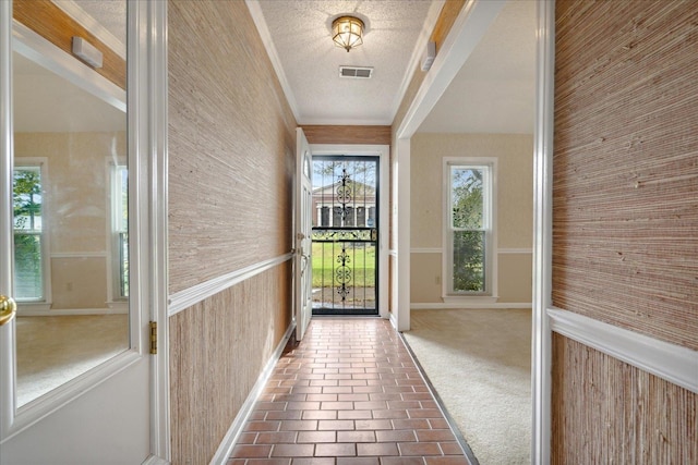 doorway with wood walls, a textured ceiling, and carpet flooring