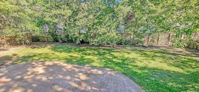 view of yard with a patio