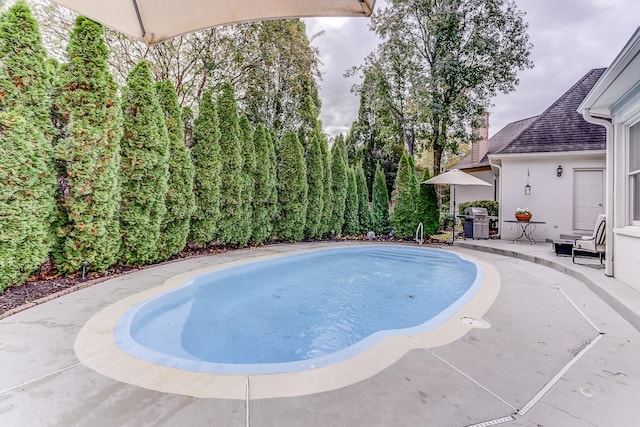 view of swimming pool with grilling area and a patio area