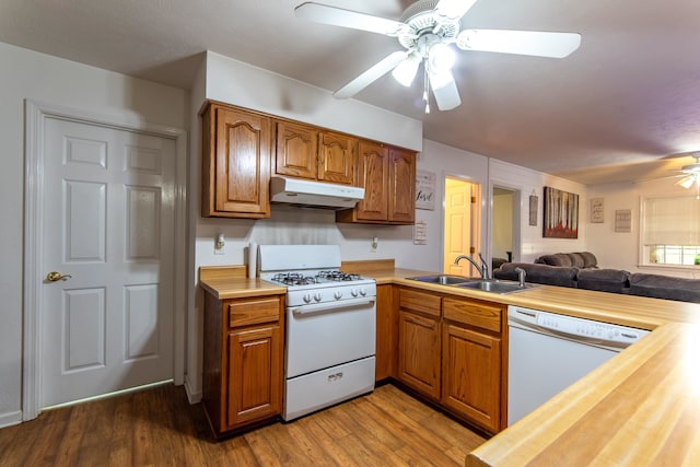 kitchen featuring hardwood / wood-style floors, white appliances, ceiling fan, and sink