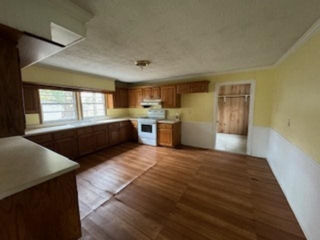 kitchen with a textured ceiling, dark hardwood / wood-style floors, crown molding, and white stove