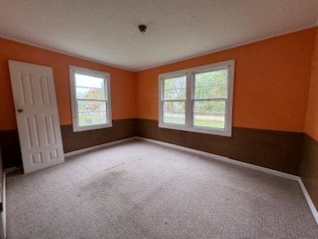 spare room with a wealth of natural light, wooden walls, and light colored carpet