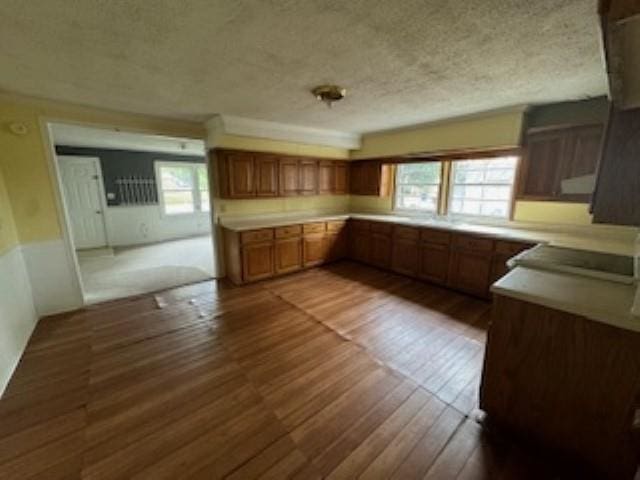 kitchen featuring dark hardwood / wood-style floors, plenty of natural light, and a textured ceiling