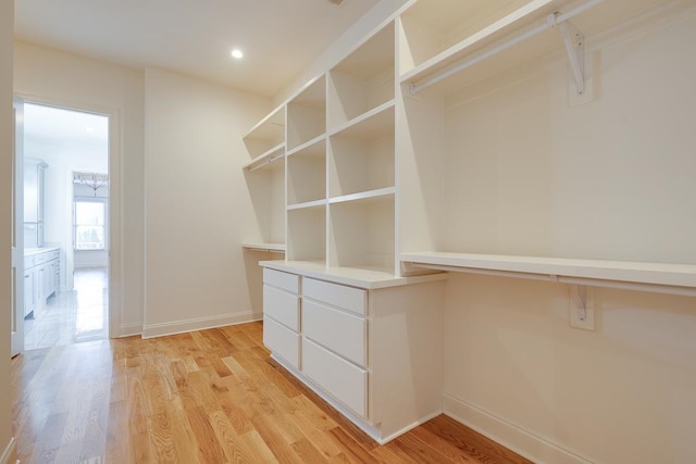 spacious closet featuring light wood-type flooring