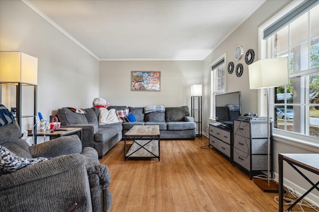 living room with crown molding and light hardwood / wood-style flooring