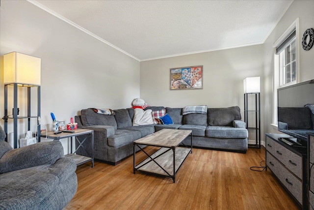 living room featuring light wood-type flooring and ornamental molding