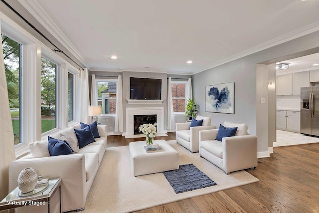 living room featuring ornamental molding, a large fireplace, and light hardwood / wood-style floors