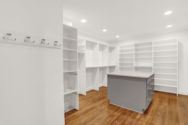 spacious closet featuring dark wood-type flooring