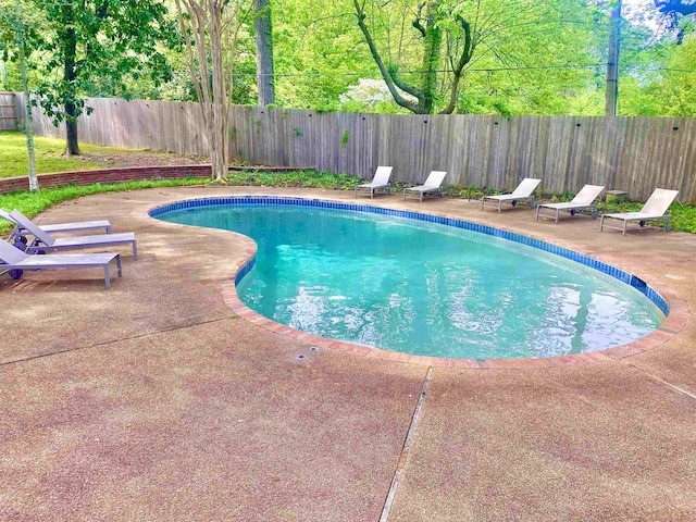 view of swimming pool with a patio area