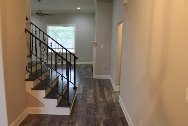 stairway with wood-type flooring and ceiling fan