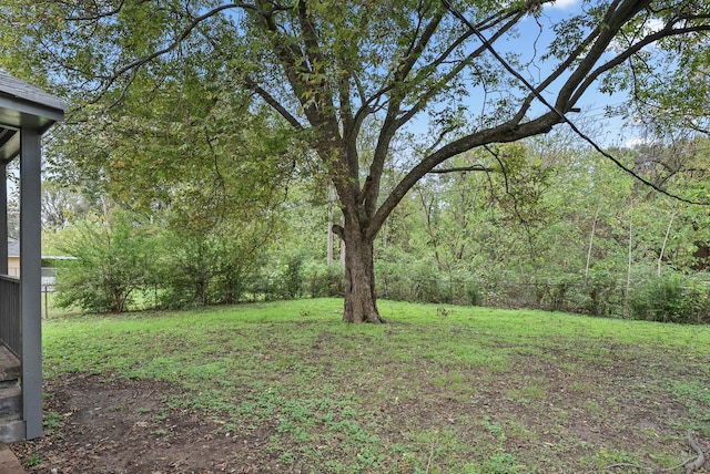 view of yard