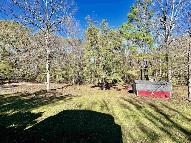 view of yard with a storage shed