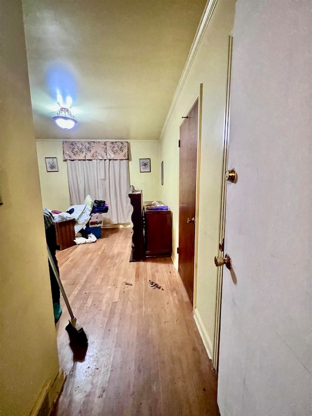 hall featuring light hardwood / wood-style flooring and ornamental molding