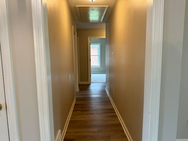 hallway featuring dark hardwood / wood-style flooring