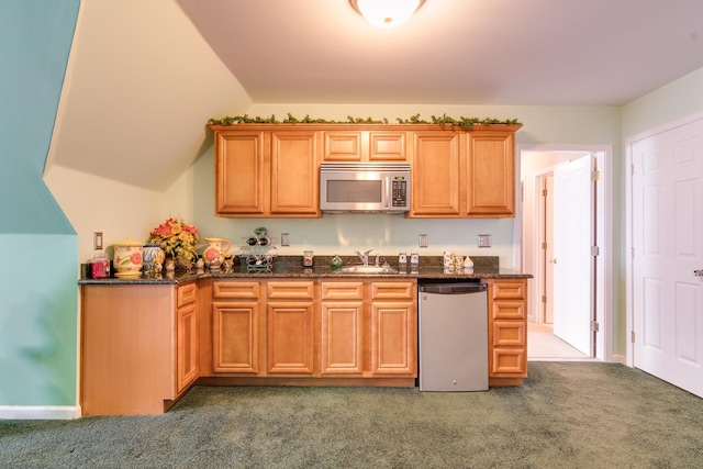 kitchen featuring dark colored carpet, sink, and appliances with stainless steel finishes