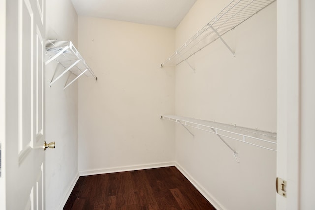 walk in closet featuring wood-type flooring