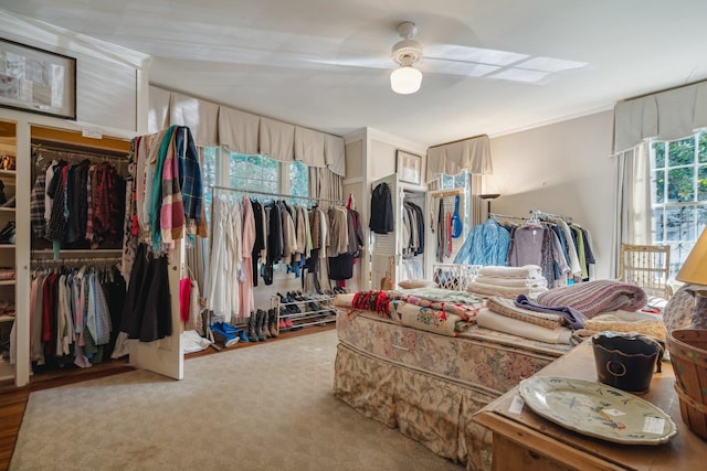 spacious closet featuring ceiling fan