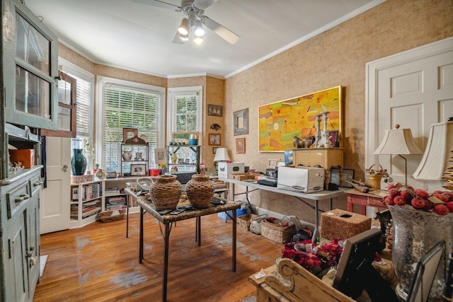 office space with ceiling fan, wood-type flooring, and ornamental molding