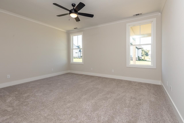 empty room featuring ornamental molding, ceiling fan, and carpet flooring