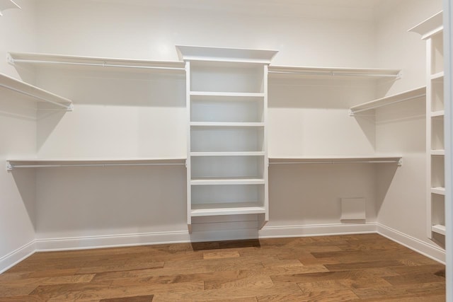 walk in closet with wood-type flooring