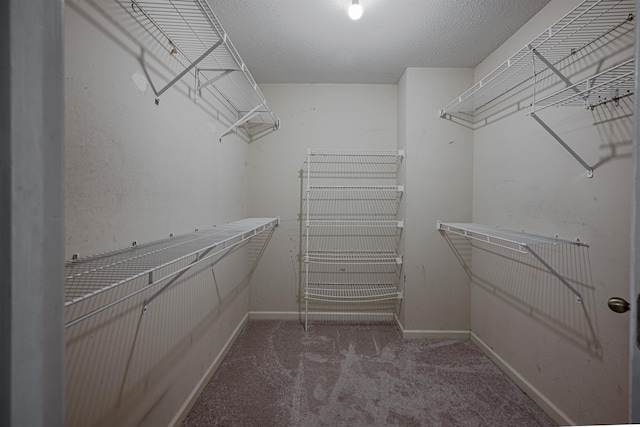 spacious closet featuring carpet flooring