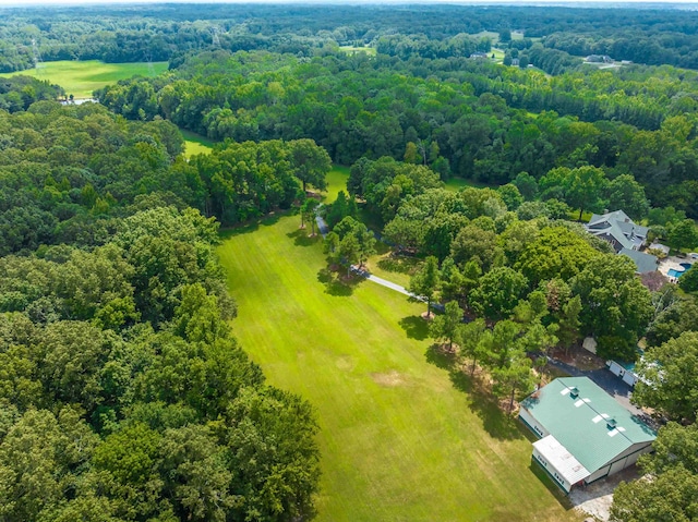 bird's eye view