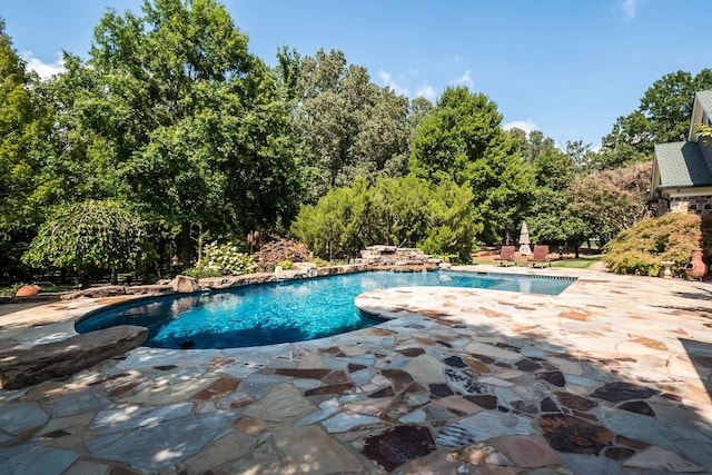 view of swimming pool featuring a patio