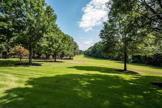 view of community featuring a lawn