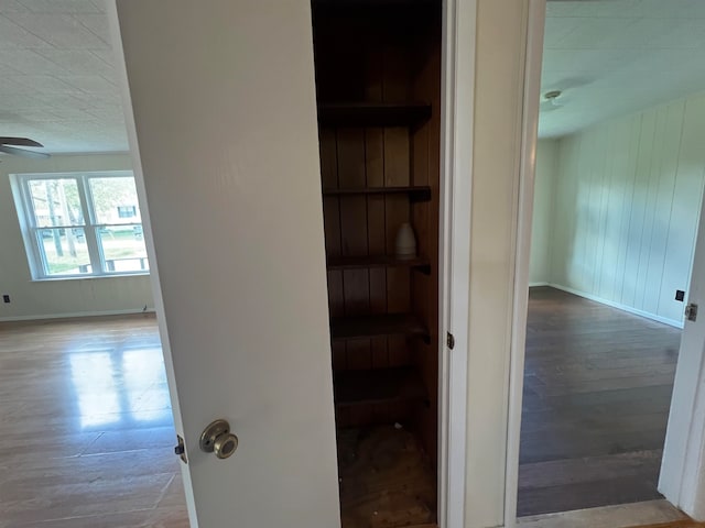 corridor featuring wood walls and light hardwood / wood-style flooring