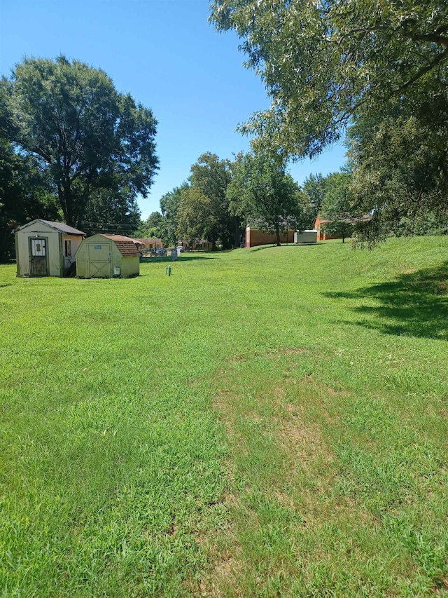 view of yard with a shed