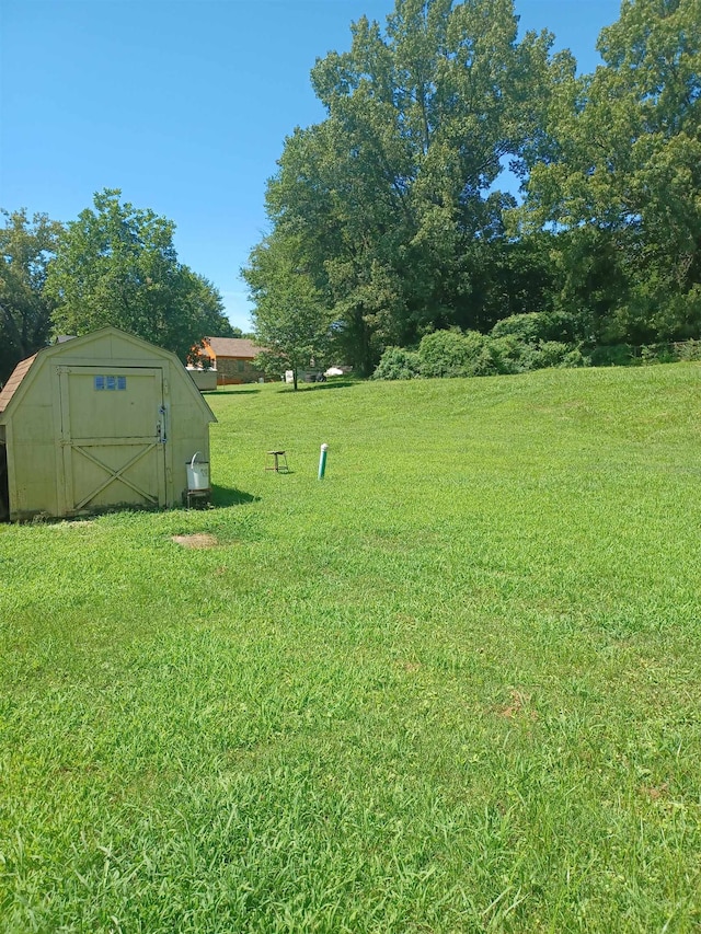 view of yard with a storage shed