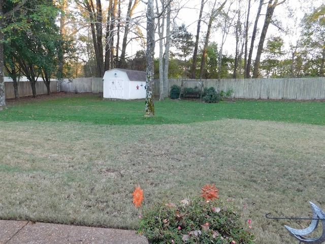 view of yard with a storage shed