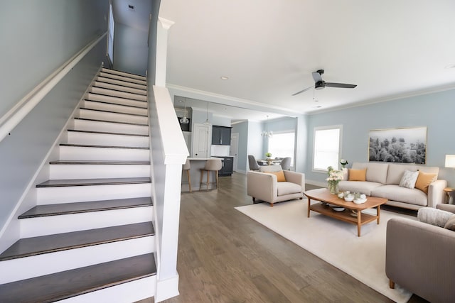 living room with dark hardwood / wood-style floors, ceiling fan, and crown molding