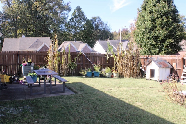 view of yard with a shed and a patio area