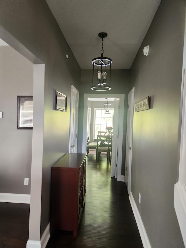 corridor featuring a chandelier and dark hardwood / wood-style flooring