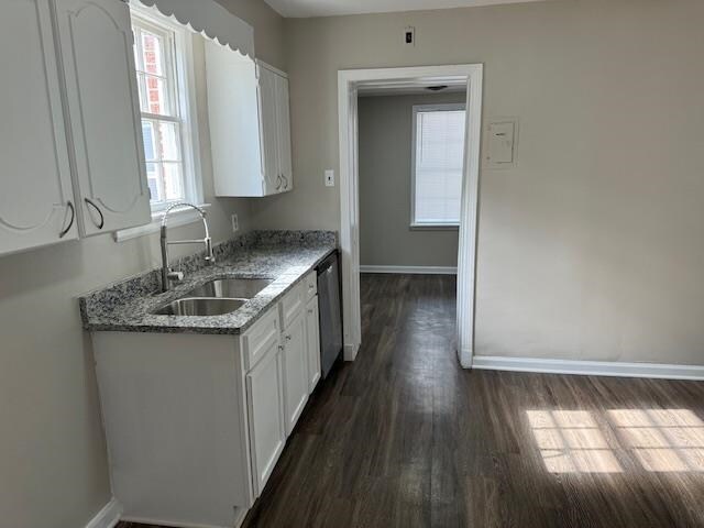 kitchen with white cabinets, dark hardwood / wood-style flooring, light stone countertops, and sink