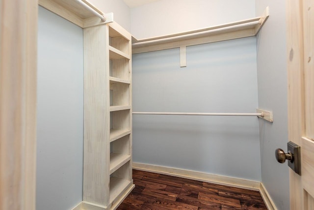 spacious closet with dark wood-type flooring