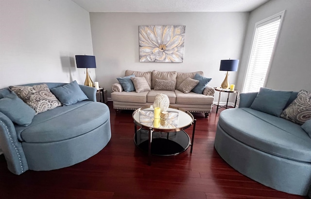 living room featuring dark hardwood / wood-style flooring