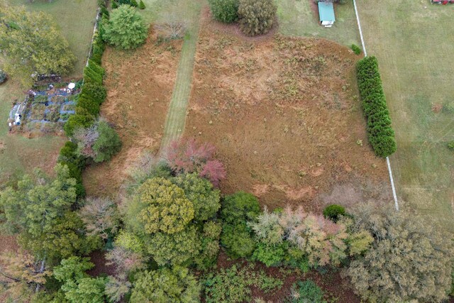 4543 Planters Trace Ln, Collierville, TN 38017