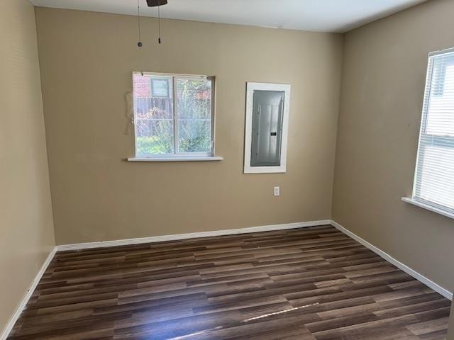 empty room featuring electric panel and dark hardwood / wood-style flooring