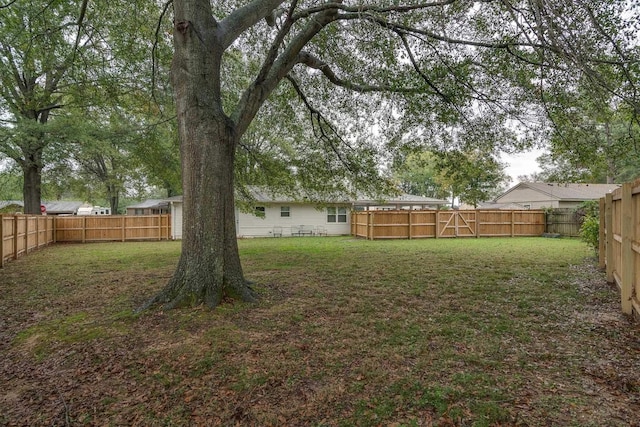 993 Greenview Rd, Collierville, TN 38017 - view of yard