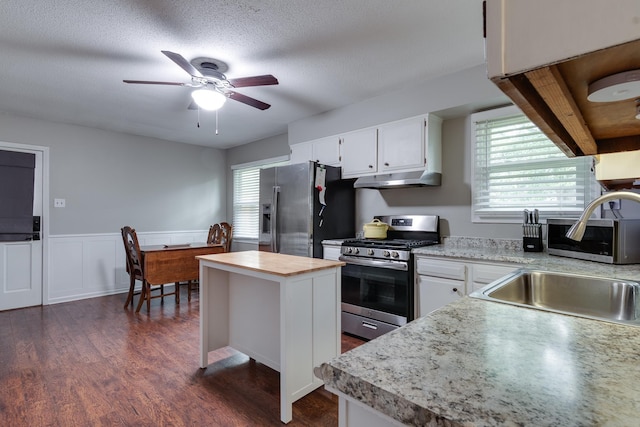 993 Greenview Rd, Collierville, TN 38017 - kitchen featuring stainless steel appliances, under cabinet range hood, ceiling fan, a sink, and a center island