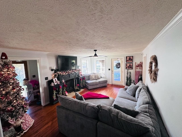 living room featuring wood-type flooring, a textured ceiling, and ornamental molding