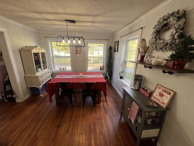 dining area featuring crown molding, dark hardwood / wood-style flooring, and a textured ceiling