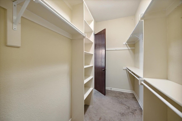 view of walk in closet