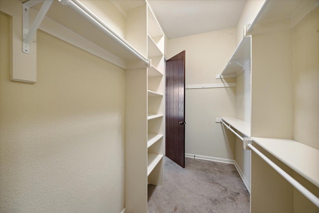258 S Mclean Blvd, Memphis, TN 38104 - view of spacious closet