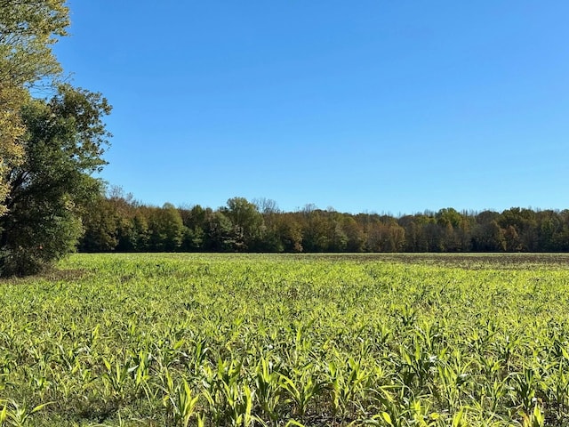 12441 Seward Rd, Eads TN, 38028 land for sale